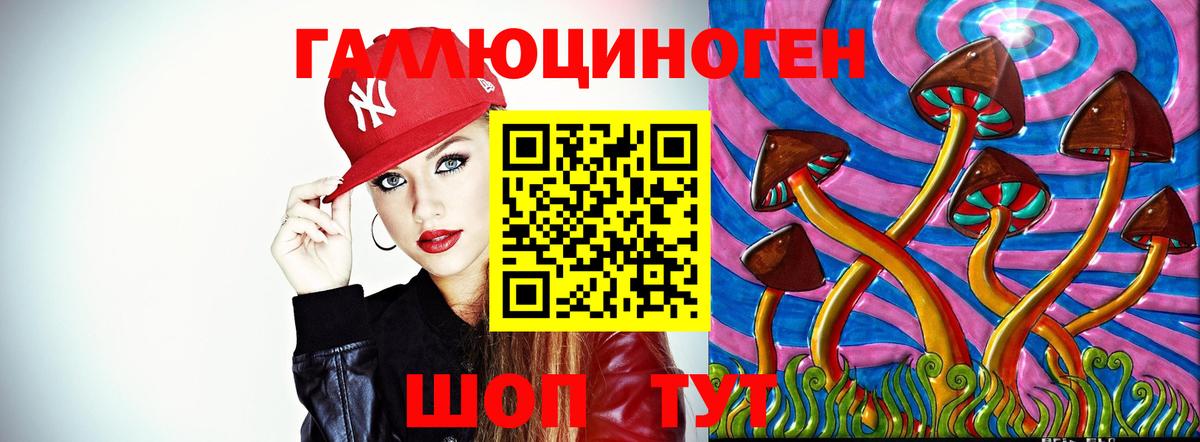 Псилоцибиновые грибы Psilocybe  где купить   Губаха  Вход с VPN 