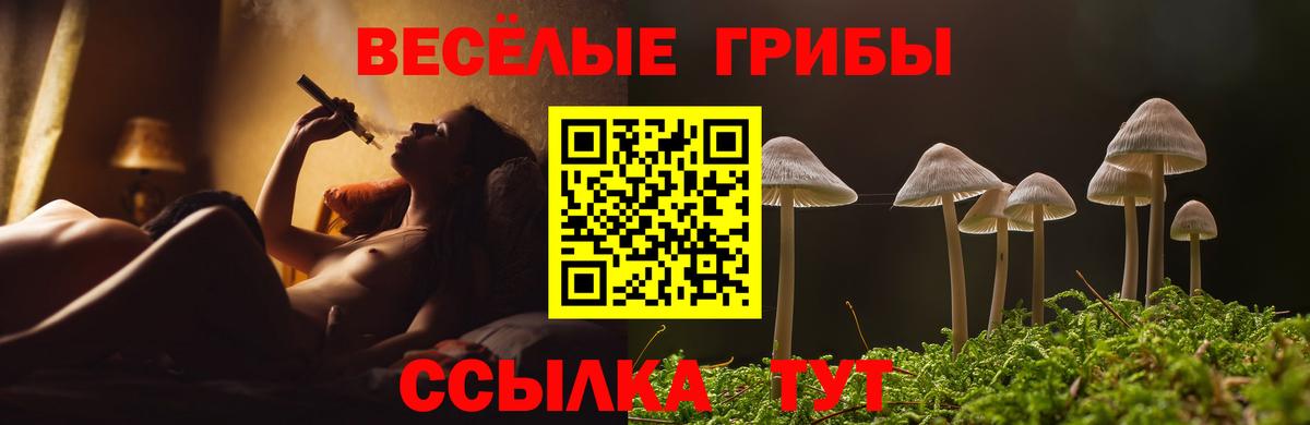 Псилоцибиновые грибы Psilocybine cubensis Губаха